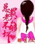 总裁老公不好惹
